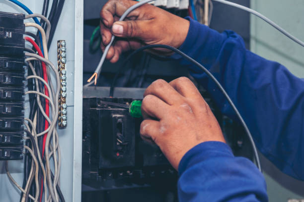 Best Licensed Electrician  in Eyota, MN