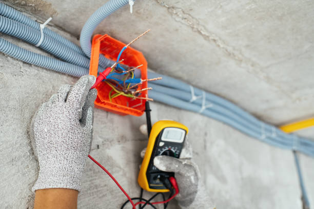 Best Electric Panel Repair  in Eyota, MN